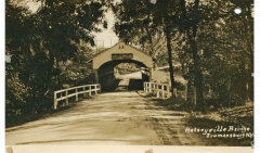 Halseyville Bridge